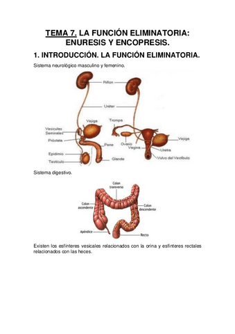 Tema-7.-La-funcion-eliminatoria.-Enuresis-y-encopresis.pdf