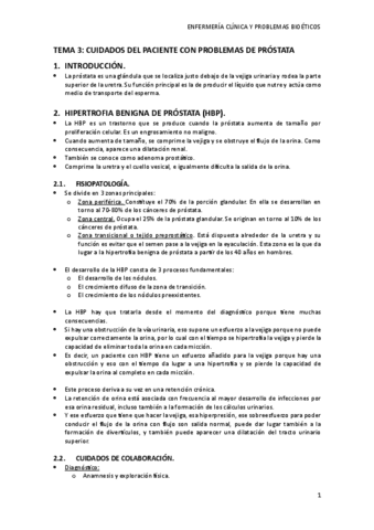 TEMA-3.pdf