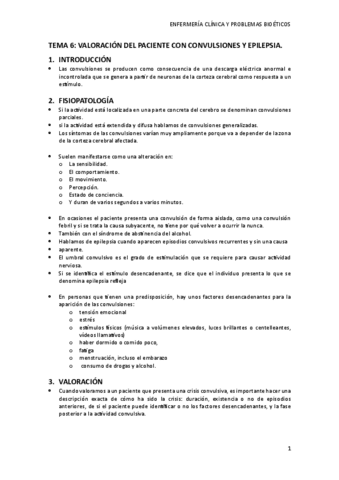 TEMA-6.pdf