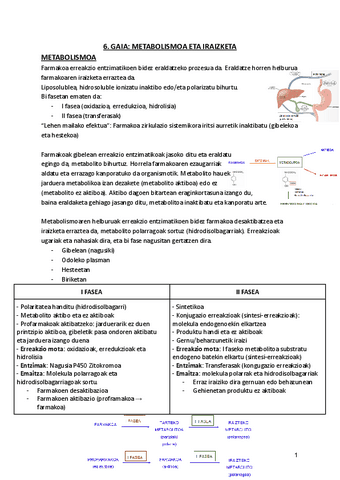 6.-METABOLISMOA-ETA-IRAIZKETA.pdf