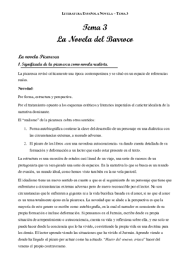 Tema 3 Novela.pdf