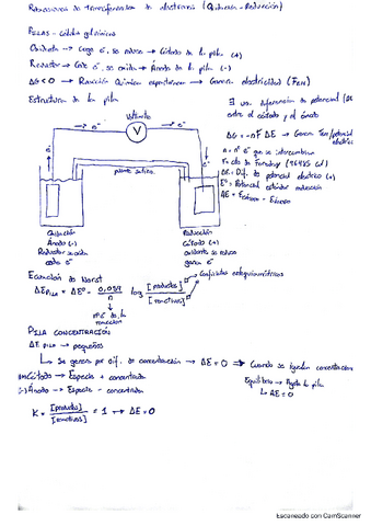 Reacciones-de-transferencia-de-electrones.pdf