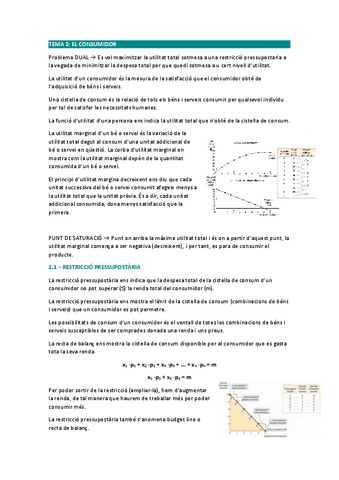 TEMA-2.pdf