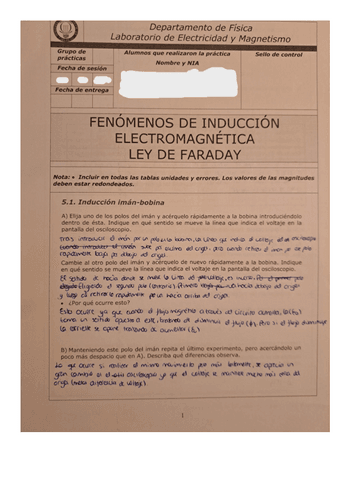 LAB-FARADAY.pdf