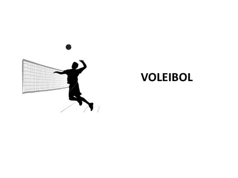 TEORIA-VOLEIBOL.pdf