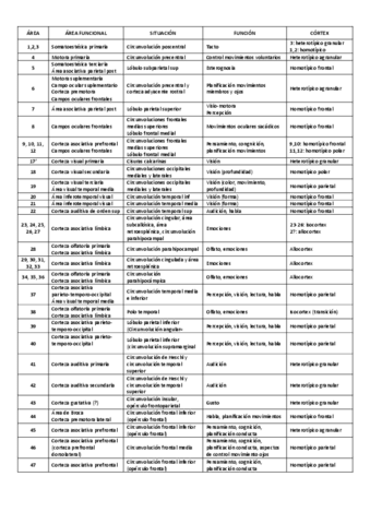 areas-de-broadman.pdf