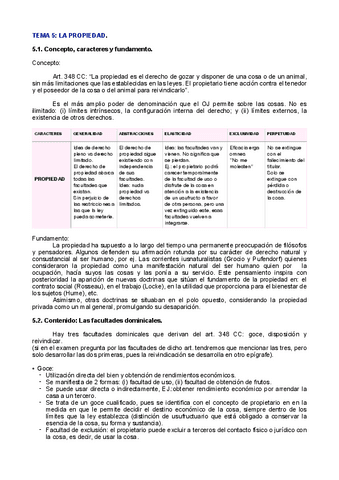 Derecho-de-Bienes-tema-5.pdf