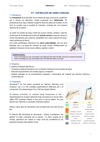P7.pdf