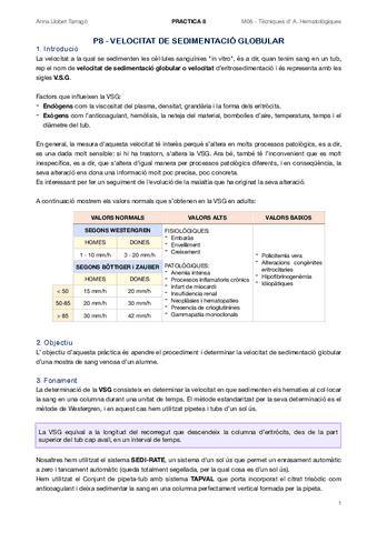 P8.pdf