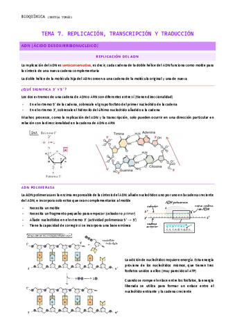 TEMA-7.-Replicacion-transcripcion-y-traduccion.pdf