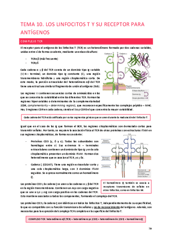 Tema-10.-Los-linfocitos-T-y-su-receptor-para-antigeno.pdf