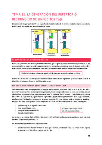 Tema-11.-La-generacion-del-repertorio-restringido-de-linfocitos-Tab.pdf