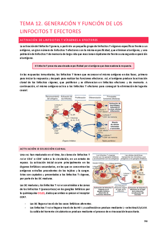 Tema-12.-Generacion-y-funcion-de-los-linfocitos-T-efectores.pdf