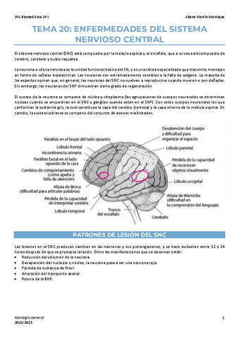 Tema-20-enfermedades-SNC.pdf