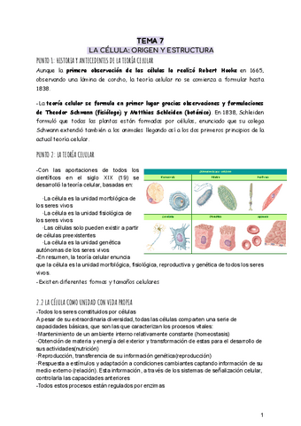 LA-CELULA-ORIGEN-Y-ESTRUCTURAtema-7.pdf