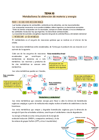 METABOLISMO-la-obtencion-de-energia-y-materiatema-10.pdf