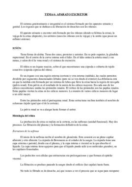Tema 6- Anatomía.pdf