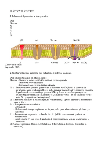 practica-1-FISIOLOGIA.pdf