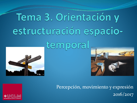 Tema-3.-Orientacion-y-estructuracion-espacio-temporal.pdf