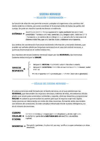 Sistema-nervioso.pdf