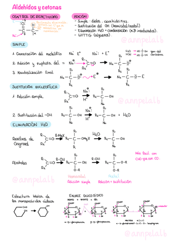 T4-Aldehidos-y-Cetonas.pdf