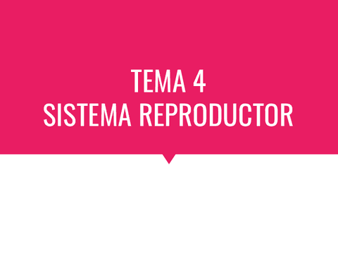 Tema-4.-Sistema-Reproductor.pdf