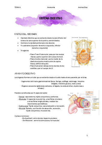 TEMA-4-SISTEMA-DIGESTIVO.pdf