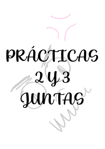 PRACTICAS-2-Y-3-JUNTAS.pdf