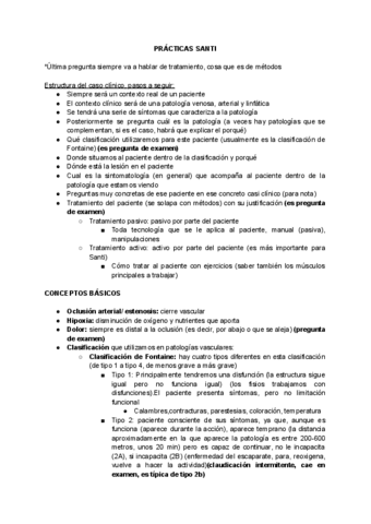 PRACTICAS-SANTI.pdf