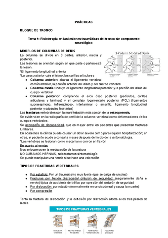 PRACTICAS-FTR.pdf