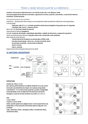 Tema-1.pdf