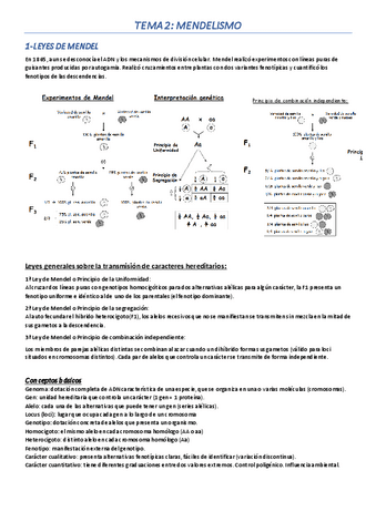 Tema-2A.pdf