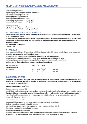 TEMA-2B.pdf