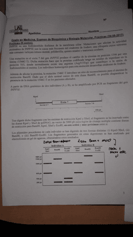 Practico-De-Bbm-Corregio.pdf