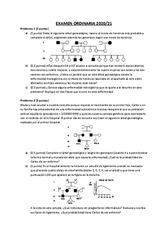 Examen-ordinaria-202021-genetica.pdf
