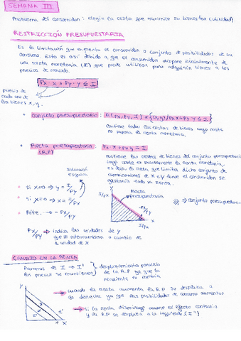 T.-3-y-4-micro.pdf