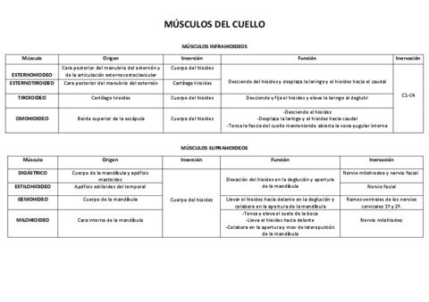 musculos-del-cuello.pdf