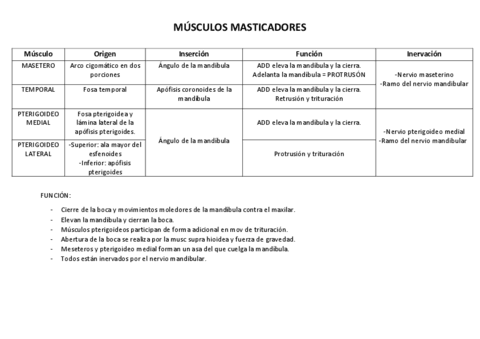 musculos-masticadores.pdf