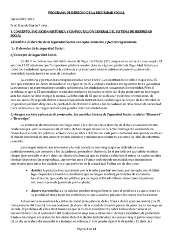 Temario Completo SS.pdf