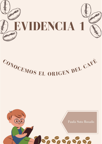 EVIDENCIA-1.pdf