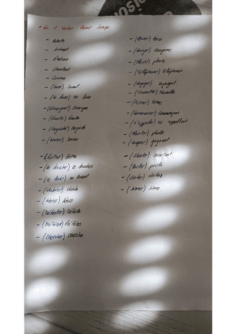 frances-actividades-resueltas.pdf