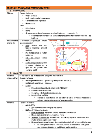 BAC-Tema13malalt.mitocondrials.pdf