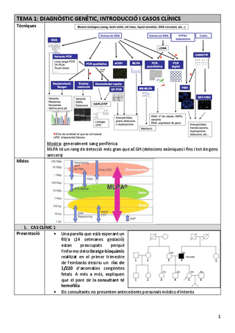TDI-Tema1casosclinics.pdf