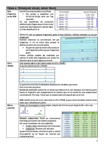 TDI-Tema4tecniques.pdf