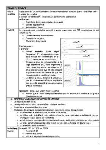 TDI-Tema5tppcr.pdf