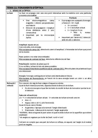 TDI-Tema11optica.pdf