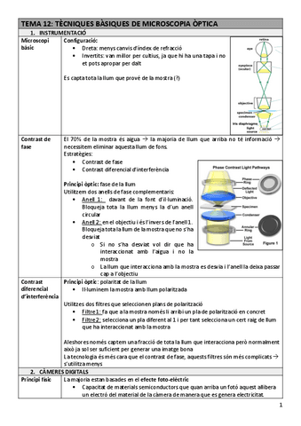 TDI-Tema12microoptic.pdf