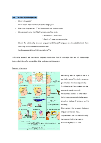 Psycholinguistics.pdf