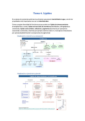 Tema-4.-Lipidos.pdf