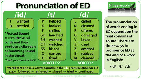 Phonetics-ED.jpg